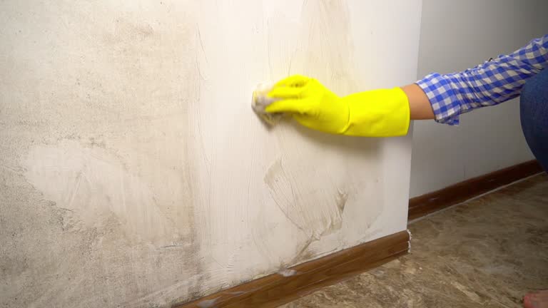 Best Post-Construction Mold Inspection  in Elizabethtown, NC